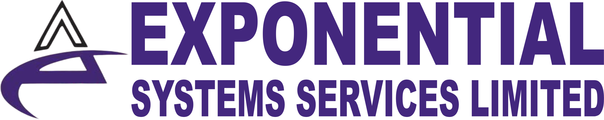 Exponential Systems Services Limited